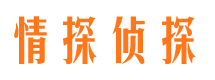 湖州找人公司